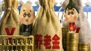 養老金,研討會,支柱,發布會,舉辦,規范 ＂第三支柱個人消費養老金規范管理計劃＂發布會暨研討會在京舉辦