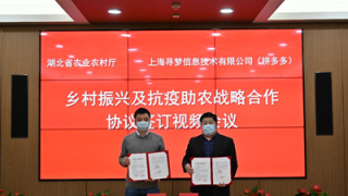 拼單,帶貨,多多,縣長,湖北省,湖北 湖北省農業農村廳與拼多多簽訂戰略合作協議：市縣長幫農民帶貨，6億消費者為湖北拼單