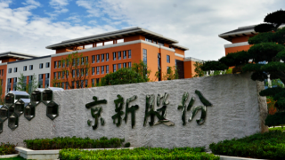 京新,實(shí)控,1400,質(zhì)押,放緩,藥業(yè) 實(shí)控人質(zhì)押1400萬股  京新藥業(yè)研發(fā)投入放緩 業(yè)績預(yù)期下降