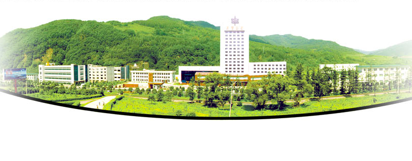 甘精,東寶,通化,轉機,胰島素,質押 業績下滑快股東質押忙  通化東寶甘精胰島素能否帶來轉機？