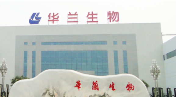 IPO,證監,輔導,華蘭,備案,疫苗 華蘭疫苗已在河南證監局 進行IPO輔導備案