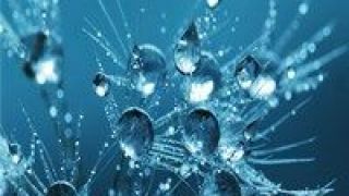 觸覺,虛擬,傳遞,新型,皮膚,現實 新型“虛擬現實皮膚”能傳遞觸覺