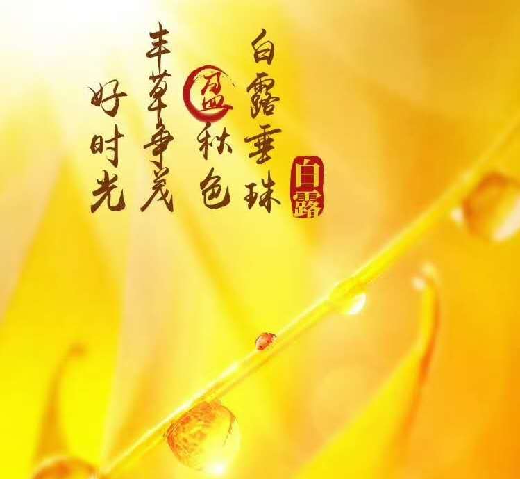 王利剛,韻腳,銀華,總是,時(shí)代,成功 基金界星級(jí)“廚神”寶盈張仲維的“掌勺”之道