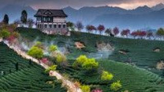 5G 國內將迎來今年第一個旅游高峰