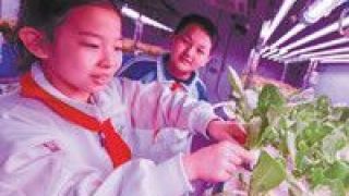 北航,月宮,種菜,小學生 北航附小學生進“月宮”種菜