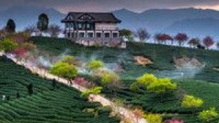 鄉(xiāng)建,川菜,助力,如何 看川菜如何助力鄉(xiāng)建