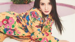 紗裙,楊冪,開年,賞心悅目,簇?fù)?封面 楊冪登越南版雜志開年封面 白色紗裙花卉簇?fù)碣p心悅目