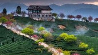 小康,之路,村莊,紅色 紅色村莊的小康之路