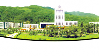 東寶,通化,九成,胰島素,質(zhì)押,持股 通化東寶控股股東質(zhì)押近九成持股 兩胰島素決定未來(lái)業(yè)績(jī)