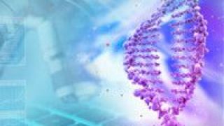 新冠,全景,病理,揭示,蛋白質,科學家 中國科學家首次揭示新冠患者蛋白質分子病理全景圖