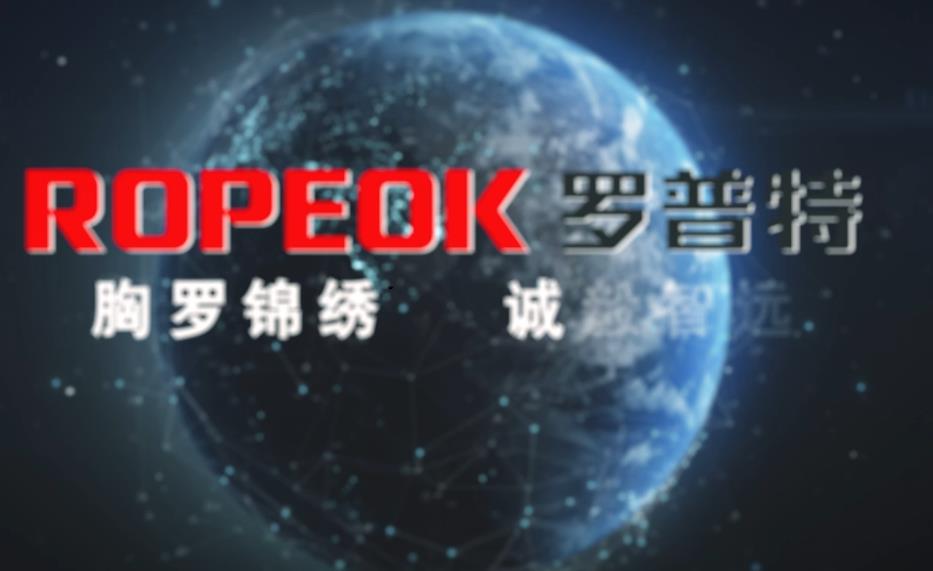 2020,IPO,普特,艱險,紅海,財務 羅普特IPO：行業“紅海”致財務數據風險 2020年“艱險”盈利