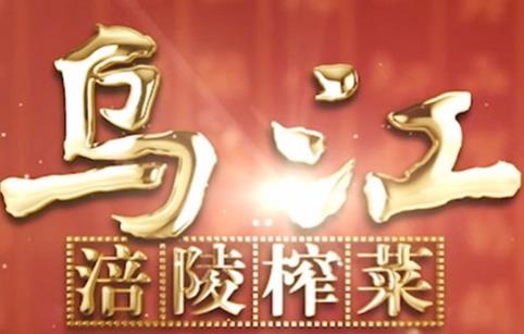 四穩(wěn),榨菜,涪陵,滿眼,大計,節(jié)前 涪陵榨菜節(jié)前定大計 “四穩(wěn)”策略令投資者滿眼都是愛