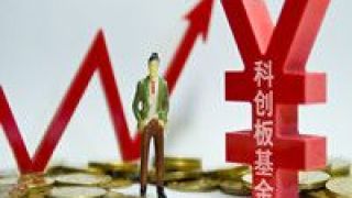 科創板,ETF,親民,科創,發售,出爐 科創板投資“親民”工具出爐 首批科創ETF聯接基金將發售