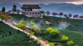 圪梁,梁上,情懷,文化 山圪梁梁上的文化情懷