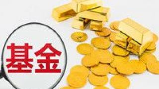遇冷,增至,失敗,募集,發(fā)行,今年 發(fā)行遇冷 今年募集失敗基金增至5只