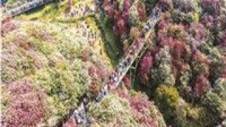 首個(gè),高峰,旅游,今年 今年將迎首個(gè)旅游高峰
