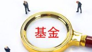 雙刃劍,獨門,游走,邊緣,基金,公司 基金公司“獨門股”游走“雙刃劍”邊緣