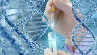新冠,圖譜,注釋,基因,病毒,精確 新冠病毒精確完整基因注釋圖譜完成