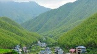 快車道,駛入,鄉村,力度,加大,支持 政策支持力度加大 鄉村建設駛入“快車道”