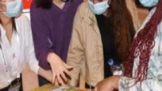 中醫藥,魅力,文化 讓中醫藥文化更有魅力