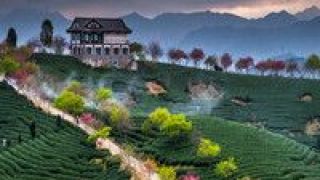 爆紅,空城,變臉,折射,小鎮,特色 從“爆紅”到“空城”，特色小鎮“變臉”折射出了什么？