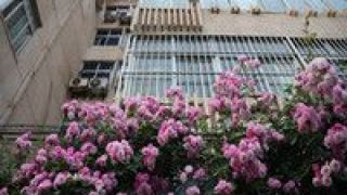 變廢為寶,便民,老舊,空地,閑置,小區 閑置空地“變廢為寶” 北京在老舊小區打造便民空間