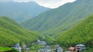 集群,鄉村,構建,振興,加速,格局 農業產業集群建設加速構建鄉村振興新格局