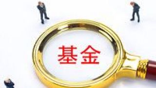 84,新基,超募,發(fā)行,再現(xiàn),份額 新基發(fā)行再現(xiàn)超募 6月發(fā)行份額環(huán)比上升84%