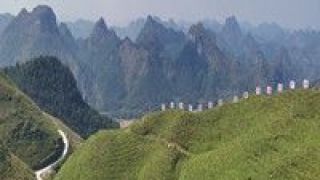 油茶,樣本,打造,湖南,產業,發展 打造油茶產業發展“湖南樣本”