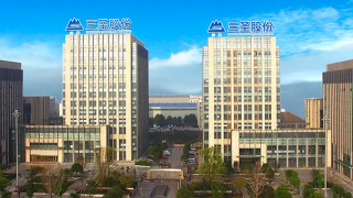 實控人,周廷,賣股,出戶,1.57,三圣 白衣騎士鄧涵尹能否解困三圣股份  實控人周廷娥“賣股出戶”套現1.57億元