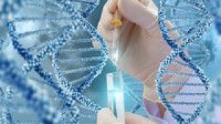 新冠,世衛,變異,病毒,監測,組織 世衛組織監測新冠病毒“繆”變異株