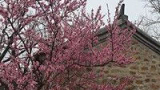 邁向,鄉(xiāng)村,旅游,品牌,時代 鄉(xiāng)村旅游邁向品牌時代