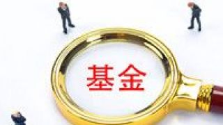 QDII,曇花一現,王者,沖天,油氣,歸來 QDII基金“油氣沖天” 王者歸來還是曇花一現