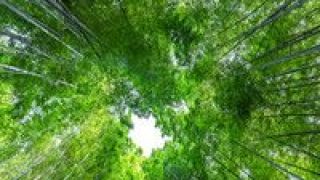 2025,園區,省級,循環,改造,年底 兩部門：到2025年底省級以上園區全部實施循環化改造
