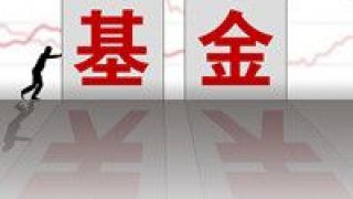 合鑫,袁巍,逆向,敬畏,華安,專注 華安合鑫袁巍：專注企業核心價值，敬畏逆向投資