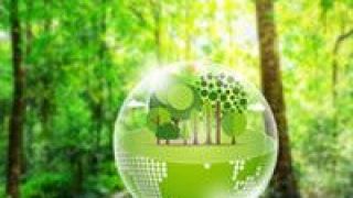 林草,濕地,普查,物種,外來,生態 國家林草局部署森林草原濕地生態系統外來入侵物種普查
