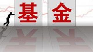 逆市,訣竅,飄紅,重倉,優選,藍籌 基金“逆市飄紅”有訣竅 重倉價值藍籌成優選