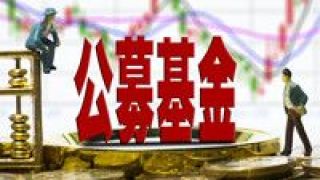 賽道,加倉,公募,逆勢,悄然,倉位 倉位悄然提升 公募基金逆勢加倉賽道股