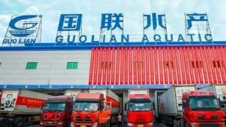 扣非,2021,國聯,隱憂,水產,年前 國聯水產股價大漲隱憂：2021年前三季度扣非后凈利潤虧損