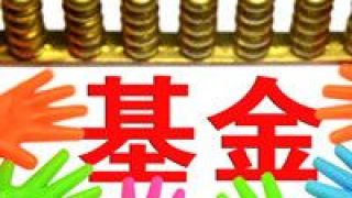 公募,成績單,交出,首份,外資,產品 首只外資公募產品交出首份“成績單”