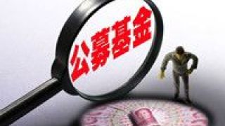公募,有方,主線,業績,增長,基金 緊盯業績增長主線 公募基金“擒牛”有方