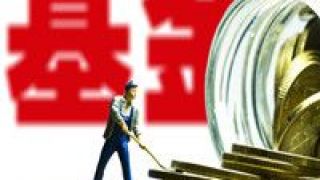 挑剔,建倉,分化,機會,基金,投資 建倉分化 次新基金“挑剔”投資機會