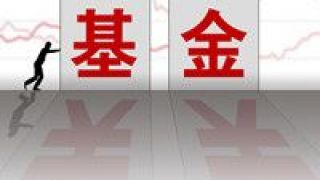 極端化,扎堆,隱憂,熱門,重重,主題 熱門主題基金扎堆 “極端化投資”隱憂重重