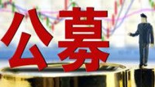 公募,靜待,案例,再現,回暖,失敗 募集失敗案例再現 公募靜待市場回暖