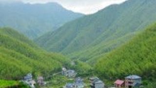 150,輪作,每畝,試點,黑龍江,耕地 黑龍江：今年新增耕地輪作試點每畝補貼150元