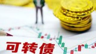 普跌,可轉債,今年,基金 可轉債基金今年普跌逾6%