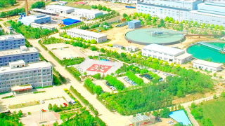 國城,2021,吃緊,四成,回籠,加緊 控股股東加緊回籠資金  國城礦業2021年凈利潤增四成現金流吃緊