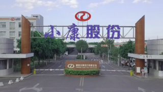 再陷,雙高,存貸款,暗藏,小康,連年 小康股份業績連年下滑再陷巨額虧損 存貸款余額雙高暗藏風險