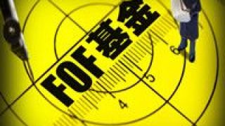 FOF,全軍覆沒,基金,一季度,投資 一季度投資基金的基金FOF“全軍覆沒”