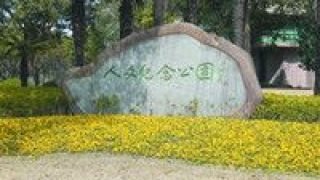 墓碑,人文,告別,祭祀,紀念,公園 從墓碑森林到人文公園 從傳統祭祀到現代紀念 讓告別變美麗